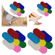 100x Bird Foot Rings Markers Recognition Rings for Rutin Chickens