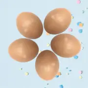 16 Pcs Artificial Lifelike Eggs Egg Prop Plastic Chicken Eggs