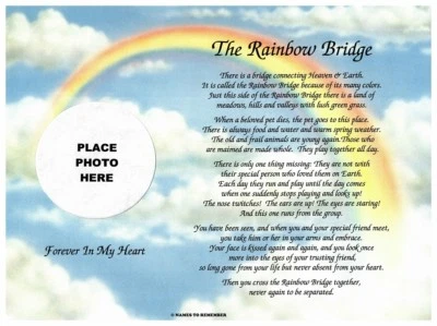 The Rainbow Bridge Memorial/Poem Sentimental Gift In Loving Memory of A Dog...