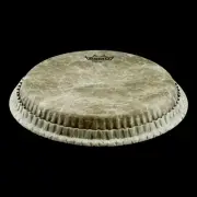 Remo 11 Inch Conga Head Fiberskyn S Series