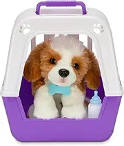 Little Live Pets My Really Real Puppy - Patches; Interactive Puppy; 60+ Sounds/Reactions; Realistic Look; 1 Out of 72 Variants; Playset with Transport Box; Batteries Included; Ages 5
