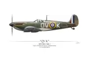 Battle Of Britain QVK Spitfire - Art Print by Craig Tinder