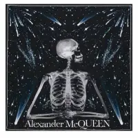 在飛比找momo購物網優惠-【Alexander McQueen】時尚經典骷髏星空圖絲巾