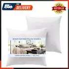 Set of 2-20X20 Throw Pillow Inserts-Down Feather Pillow Inserts-White