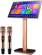 Touch Screen Karaoke Ktv Player with 2 Wireless Microphones for Adults and Kids, Family Party KTV Player, 19.5/22 Inch Capacitive Touch Screen, Cloud Song Auto Update,19.5inch-8TB