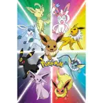 【寶可夢】伊布 EEVEE/POKEMON 九彩昇華齊聚頂 - 進口海報