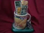 Cup & Electric Warmer Coffee Tea Soup Mug Citrus Design NEW NOS Gourmet Gifts