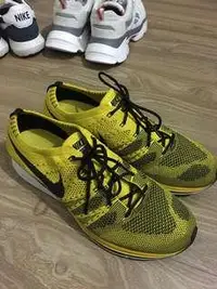 在飛比找旋轉拍賣優惠-Nike flyknit trainer