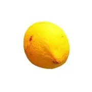 Organic Juicing Lemons 2nds - Fresh, healthy organic delivery | Doorstep Organics
