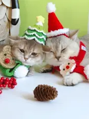 christmas tree crochet hats for cats and small dogs/ knit cat hat
