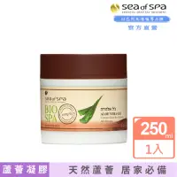 在飛比找momo購物網優惠-【SEA OF SPA】天然蘆薈凝膠-250ml(以色列死海