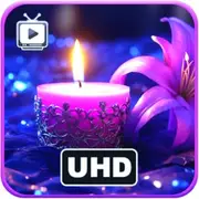 Serene Firelight - Calming Flicker & Soothing Melodies Screensaver