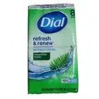 Dial Antibacterial Soap 8 Bars 4oz Each Refresh & Renew Mountain Fresh Scent