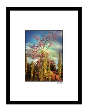 Nature in the Clouds Wall Art by Steven A. Heller