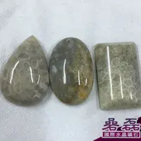 在飛比找蝦皮商城優惠-珊瑚玉 天然珊瑚化石 B組 尊貴權勢幸福與永恆 事業的瑞寶《