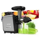 Slow Juicer Machine for Vegetables and Fruits Cold Press Masticating Juicer