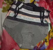 5 NEW RACHEL ROY RR4019 BONDED MICRO MESH TRIM COMFORT WAIST HIPSTER PANTIES L
