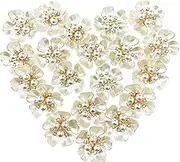BETITETO 20Pcs Pearl Rhinestone Embellishments Flower Flatback Buttons Rhinestone Charms for Shoe Decoration Jewelry Making Clothes Brooch Wristband and Wedding Bouquet DIY