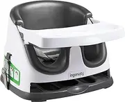 Ingenuity Baby Base 2-in-1 Booster Feeding & Floor Seat with Self-Storing Tray - Slate