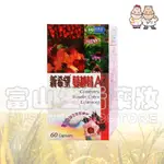 藥聯 新希望 NEW HOPE 蔓越莓A+複方膠囊 60粒【富山】