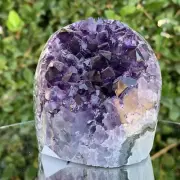 616g 7x6x9cm Purple Amethyst Geode from Uruguay