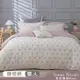 【Tonia Nicole 東妮寢飾】紅粉佳人100%精梳棉兩用被床包組(單人)