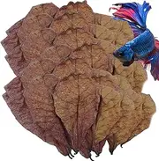 Catappa Leaves - Betta Shrimp Leaves | Catappa Leaves for Hermit Crabs | PH Down Aquarium Water Conditioner | Almond leàff for Fish Tank | Indian Almond Leaves for Betta Fish Tank Water treatmént
