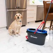 Rinse Clean Spin Mop & Bucket System | Clean with Clean Water | Removes 99%