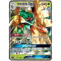 在飛比找蝦皮購物優惠-【移動城堡】 PTCG 中文版RR 狙射樹梟 GX AC1a