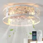 Caged Ceiling Fan with Light,20" Flush Mount Ceiling Fan with Remote,Bladeles...