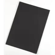 Jasart A1 Art/Craft Presentation Portoflio Sleeve w/ Black Paper Inserts CLR