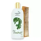 Combo Pack of Latika Dandruff Oil Latika Original Pure Neem Wood Comb Hair Care
