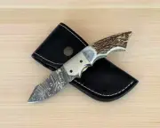 Damascus steel Folding Pocket Knife Lot Steel Clips and Stag Handle with Sheath