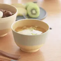 在飛比找蝦皮購物優惠-日本製 KANO 抗菌馬卡龍 丼飯碗 定食碗 碗 簡約 柔彩