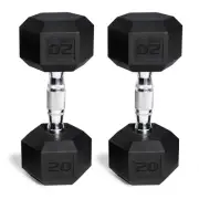 Rubber Coated Hex Dumbbells Set 20 Lbs Home Gym Fitness Exercise Workout 2Pcs