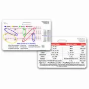 12 Lead STEMI Tool w/ Corresponding Vessels Chart Horz Badge Card Cheat Sheet