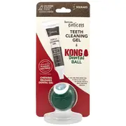 Tropiclean Enticers KONG Dental Ball & Beef Gel Dog Toy