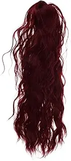 EXQUIMEUBLE Synthetic Long Hair Wig Ponytail Extension Wig for Women Girls Clip on Ponytail Stylish