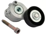 Accessory Belt Tensioner For 05-12 Audi A4 Quattro A5 A6 Q5 S4 S5 S8 3.2L RQ78H5