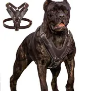 Didog Leather Big Dog Harness Adjustable Training Vest Pitbull Rottweiler Boxer XL:Chest 72-90cm