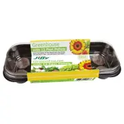 Mr Fothergill''s Jiffy Windowsill Greenhouse With 12 Peat Pellets Seed Raising