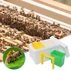 Foam Bee Box Versatile Queen Bee Breeding Box Bee Mating Box Beekeeper Suppliers