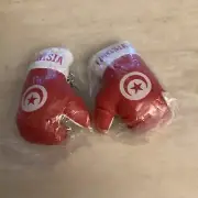 Tunisia Country Flag Mini Boxing Gloves Pair Keychains