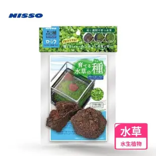 【NISSO 尼索】矮珍珠草石頭(前景草 南美草 天然水草 莫絲)