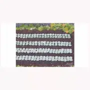 Juweela 1/87 (HO scale) Green Cabbage Plants (440pcs)