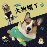 透明口袋帽T💛 寵物衣服 狗狗衣服 狗衣服 寵物服飾 中型犬衣服 大型犬衣服 大狗衣服 寵物保暖 柯基衣服 柴犬衣服 狗