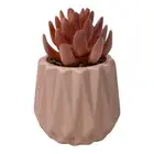 KOSIOK Artificial Potted Succulent Pink Ceramic