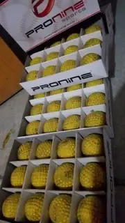 Used 4 Dozen (48) Pro-Nine Brand 9" Yellow Dimpled Batting Machine Cage Balls