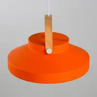 在飛比找松果購物優惠-18PARK-拉提莎吊燈-7色 [橘色,小款] (10折)
