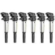 Ignition Coil Set of 6 For 2003-2019 BMW X5 04-19 X3 Black and Silver Coil UF667 (for: BMW)